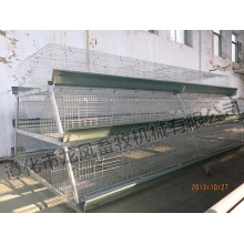 Cage de poulet automatique Pullet d&#39;un cadre avec certificat d&#39;ISO9001